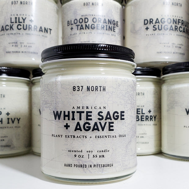 White Sage + Agave, 9 oz. Soy Candle